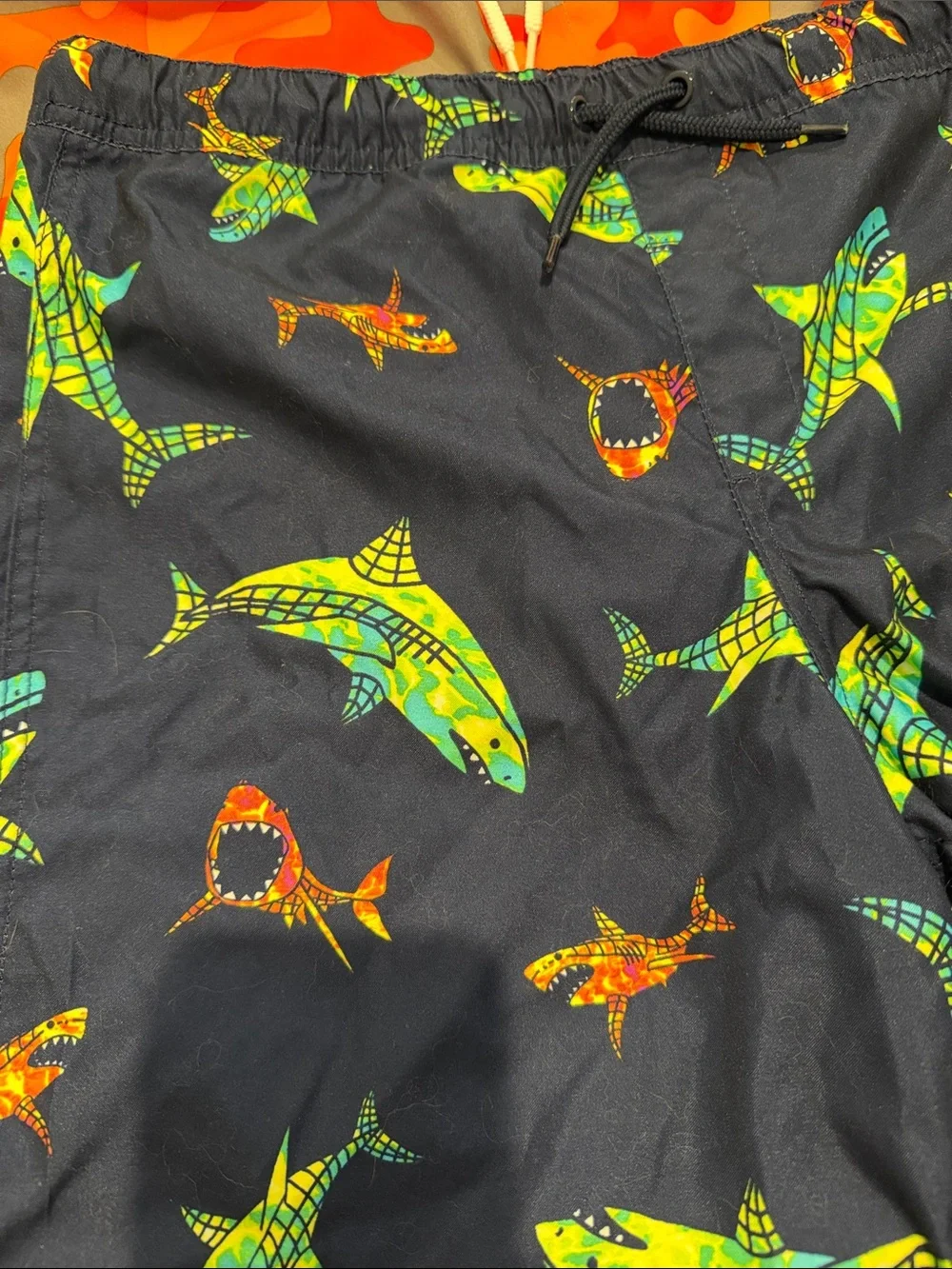3 new Lands' End Swim Shorts